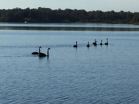 Swan Bay Hideaway - Accommodation Kalgoorlie 7