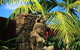Aabi's At Byron - thumb 9