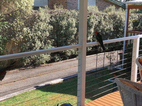The Best Exotic Magnolia Cottage - Accommodation Kalgoorlie 15