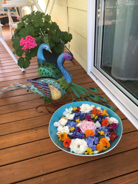 The Best Exotic Magnolia Cottage - Accommodation Kalgoorlie 8