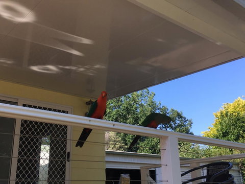 The Best Exotic Magnolia Cottage - Accommodation Kalgoorlie 11
