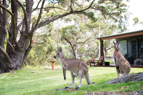 By The Beach B&B Self Contained Apartments - Accommodation Kalgoorlie 17