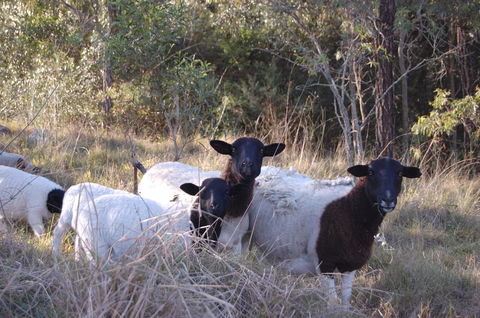 Cadair Cottages - Accommodation Kalgoorlie 15