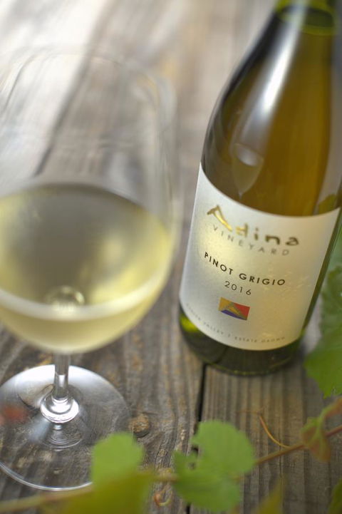Adina Vineyard - Accommodation Kalgoorlie 7