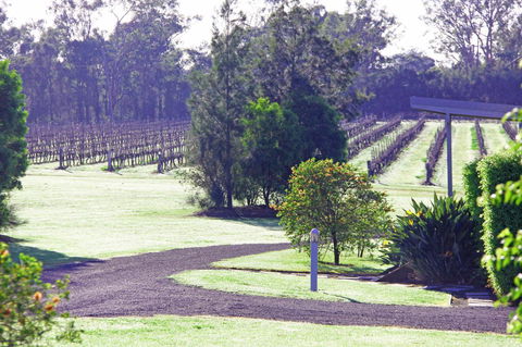 Adina Vineyard - Accommodation Kalgoorlie 14