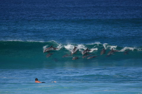 Bay Motel - Accommodation Kalgoorlie 4
