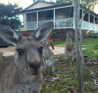 Bush  Bay Cottage - Accommodation Kalgoorlie