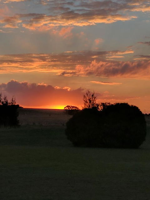 Madigan Wine Country Cottages - Accommodation Kalgoorlie 13