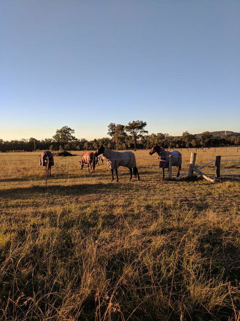 Madigan Wine Country Cottages - Accommodation Kalgoorlie 8