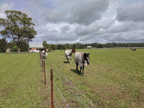 Madigan Wine Country Cottages - Accommodation Kalgoorlie 9