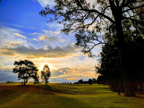 Madigan Wine Country Cottages - Accommodation Kalgoorlie 11