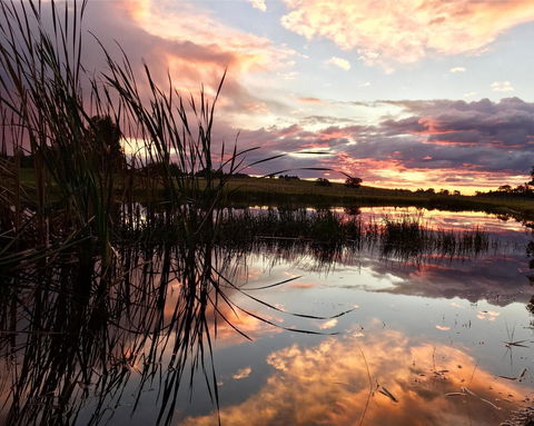 Madigan Wine Country Cottages - Accommodation Kalgoorlie 16