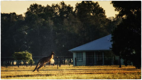 Madigan Wine Country Cottages - Accommodation Kalgoorlie 5