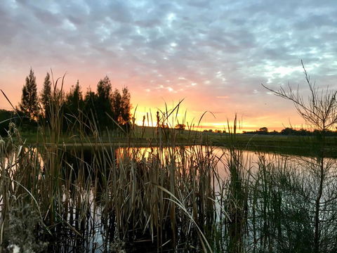 Madigan Wine Country Cottages - Accommodation Kalgoorlie 14