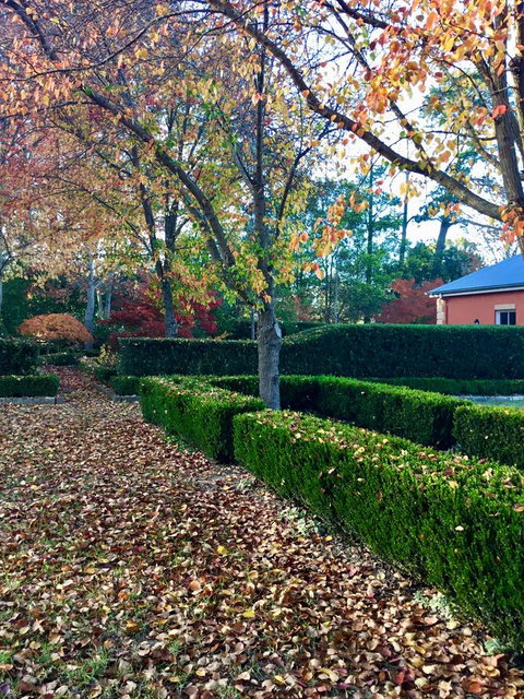 Chanticleer Gardens Barn Cottage With A Pool - Accommodation Kalgoorlie 37