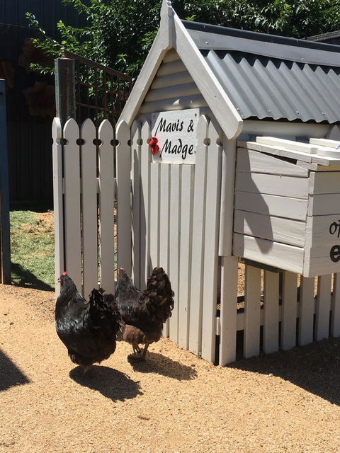 Thelma's Temora - Accommodation Kalgoorlie 12