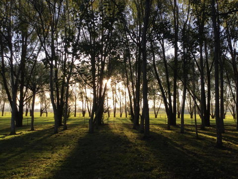 Moruya Motel - Accommodation Kalgoorlie 39