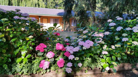 Moruya Motel - Accommodation Kalgoorlie 28