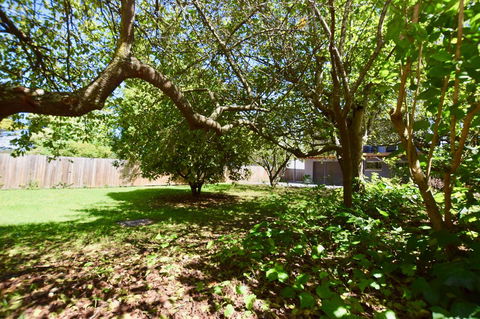 Wildlife Lodge Katoomba - Accommodation Kalgoorlie 26