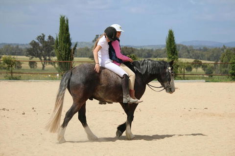 Belisi Farmstay Cottage - Accommodation Kalgoorlie 28