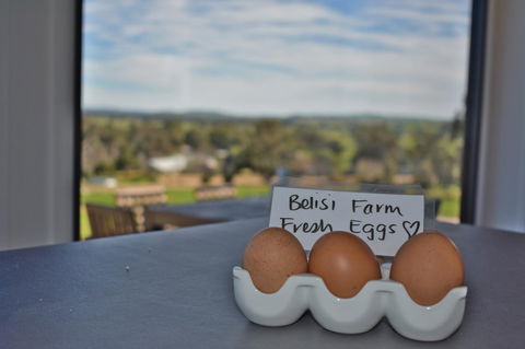 Belisi Farmstay Cottage - Accommodation Kalgoorlie 20