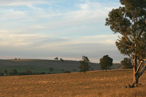Belisi Farmstay Cottage - Accommodation Kalgoorlie 33