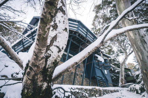 Pure Chalet Thredbo - Accommodation Kalgoorlie 21
