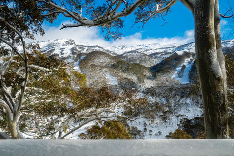 Pure Chalet Thredbo - Accommodation Kalgoorlie 17