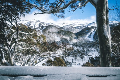 Pure Chalet Thredbo - Accommodation Kalgoorlie 2