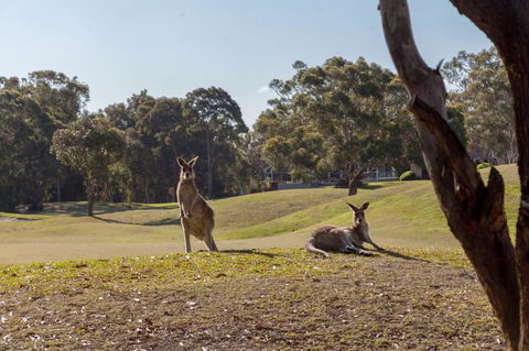 Horizons Retreat & Golf, Villa 133 - Accommodation Kalgoorlie 18