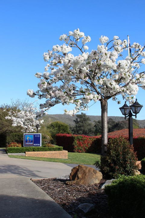 Hume Country Motor Inn - Accommodation Kalgoorlie 0
