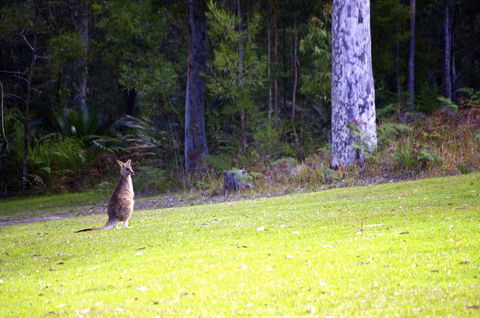 Jackson Ranch By Bannisters - Accommodation Kalgoorlie 31