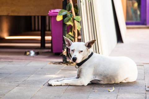 Jump Inn Alice Budget Accommodation - Accommodation Kalgoorlie 43