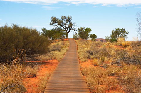 Discovery Resorts - Kings Canyon - Accommodation Kalgoorlie 27