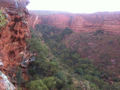 Discovery Resorts - Kings Canyon - Accommodation Kalgoorlie 34