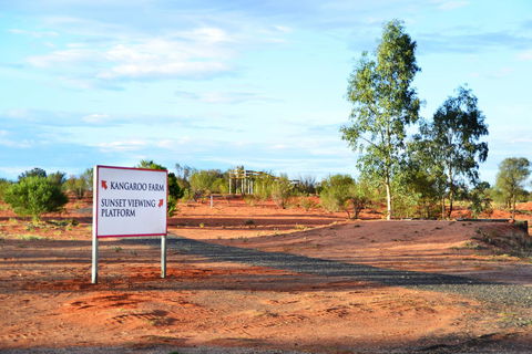 Erldunda Desert Oaks Resort - Accommodation Kalgoorlie 28