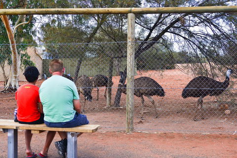 Erldunda Desert Oaks Resort - Accommodation Kalgoorlie 21