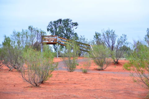 Erldunda Desert Oaks Resort - Accommodation Kalgoorlie 42