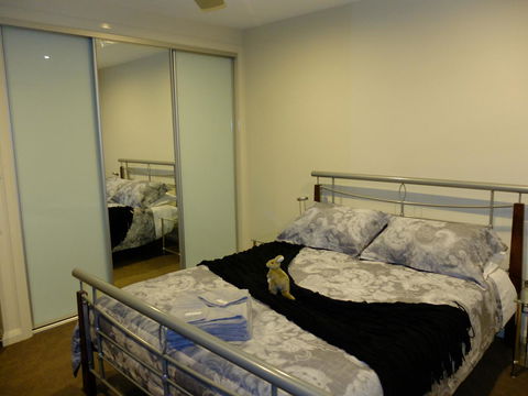 Rock Wallaby - Accommodation Kalgoorlie 14