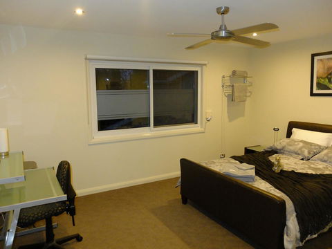 Rock Wallaby - Accommodation Kalgoorlie 6