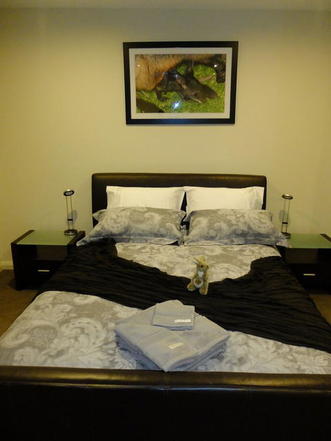 Rock Wallaby - Accommodation Kalgoorlie 18