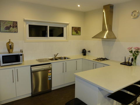 Rock Wallaby - Accommodation Kalgoorlie 12