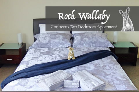 Rock Wallaby - Accommodation Kalgoorlie 4