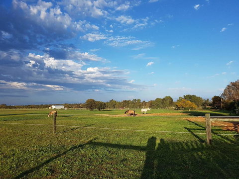 Bonsai B&B Stay - Accommodation Kalgoorlie 1