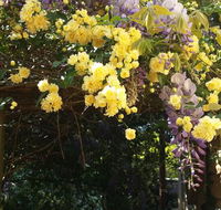 Bowral Road Bed and Breakfast - Accommodation Kalgoorlie