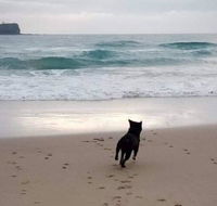 Breakers at Mudjimba Beach - Accommodation Kalgoorlie