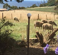 Cape View B and B - Accommodation Kalgoorlie