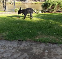 Captain's Cottage Bed  Breakfast - Accommodation Kalgoorlie