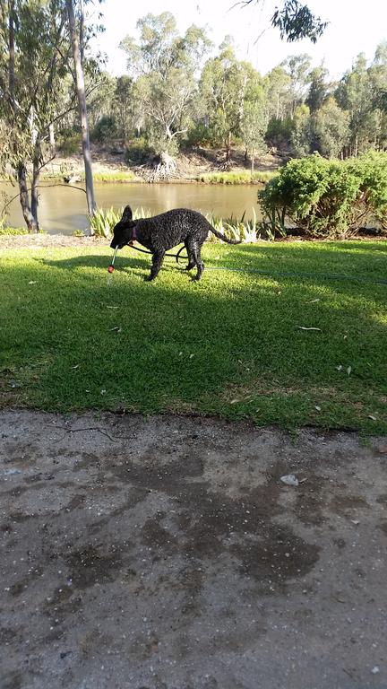 Captain's Cottage Bed & Breakfast - Accommodation Kalgoorlie 0