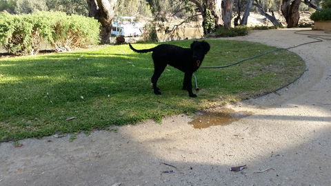 Captain's Cottage Bed & Breakfast - Accommodation Kalgoorlie 2